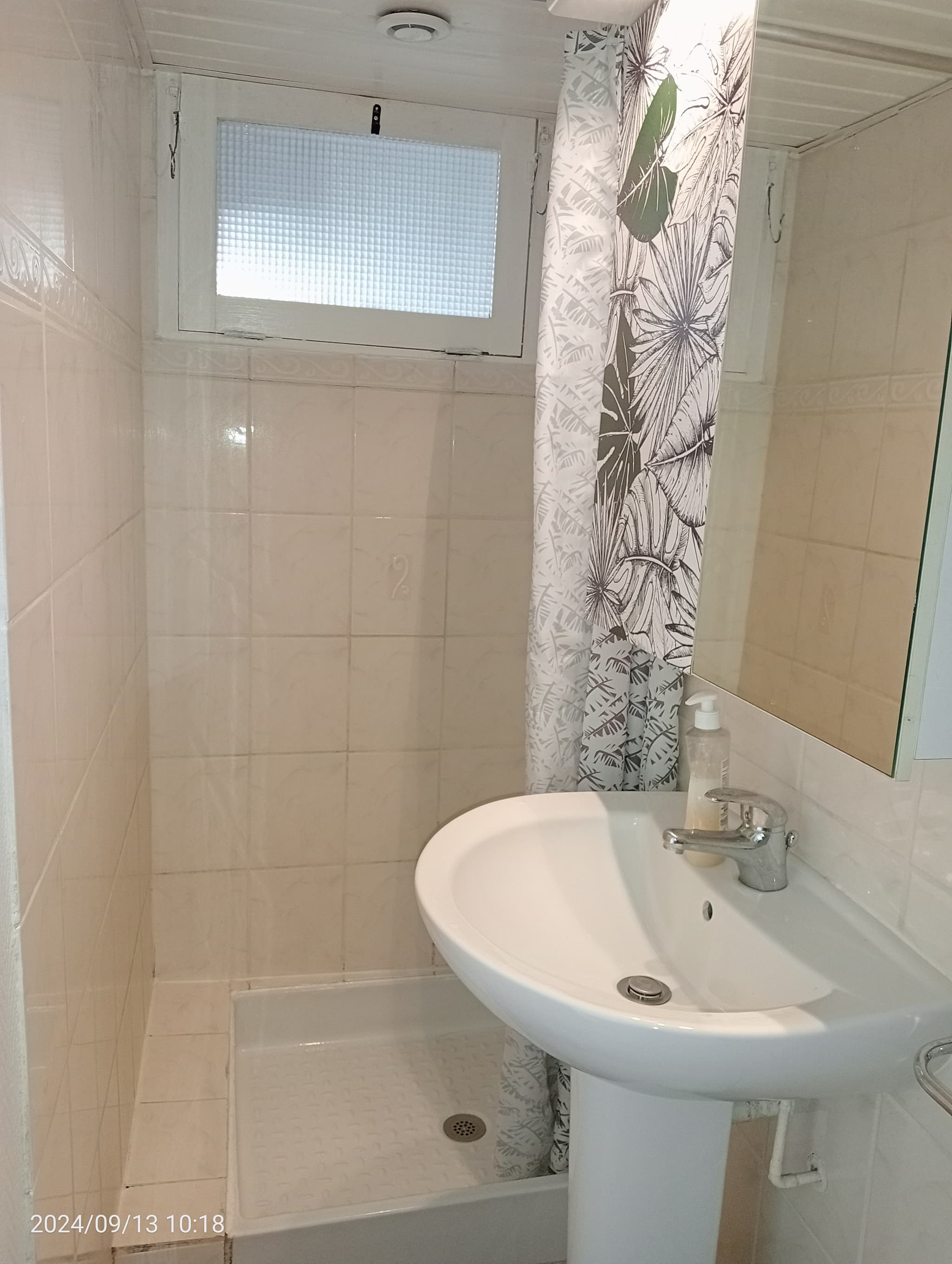 Chatillon sur Loire -Gite la rivière - salle d'eau avec wc