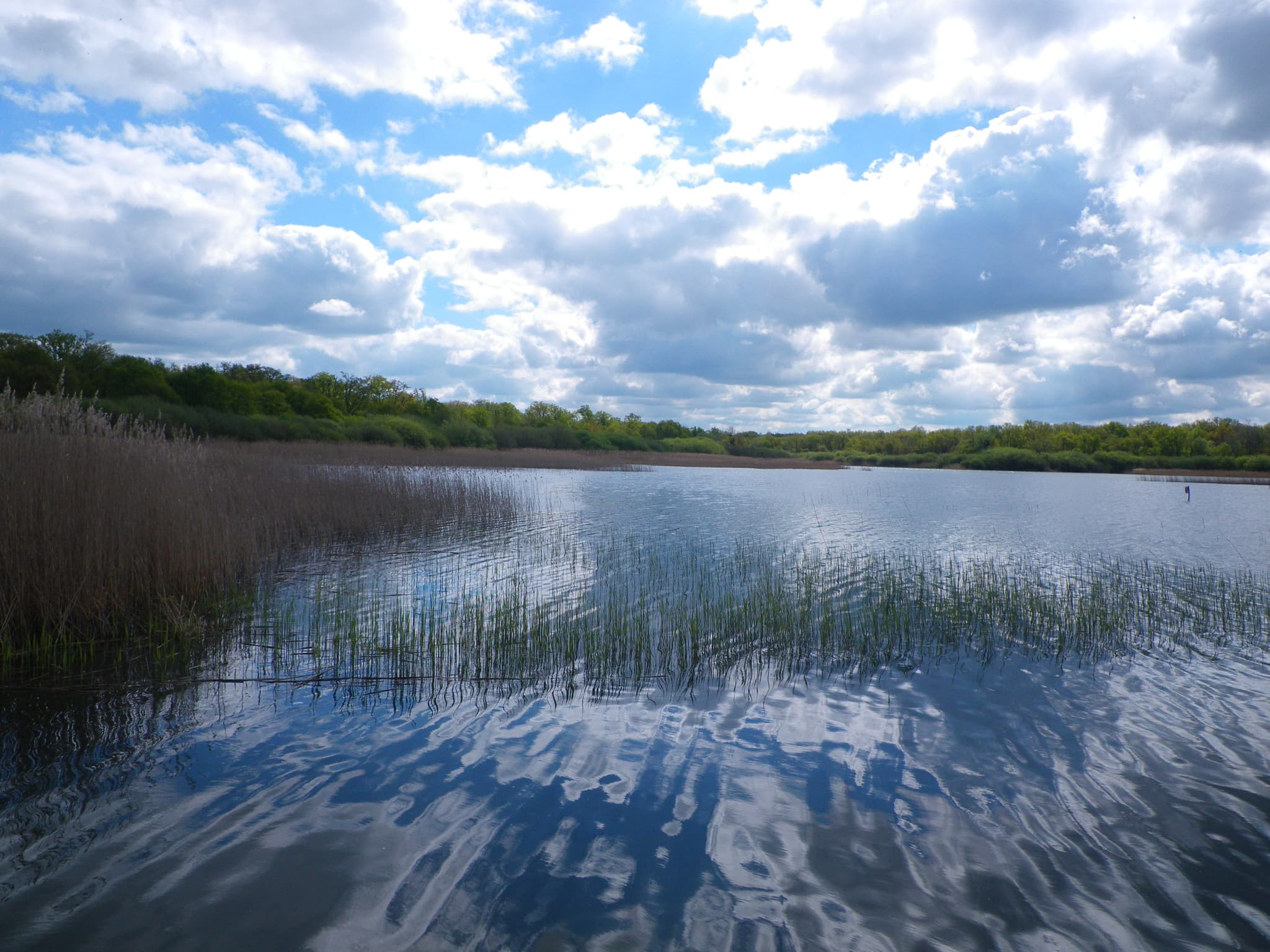 Etang du Puits