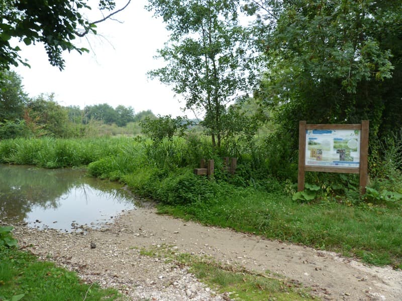 Ile à Gaston 1