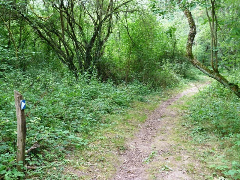 Ile à Gaston 5