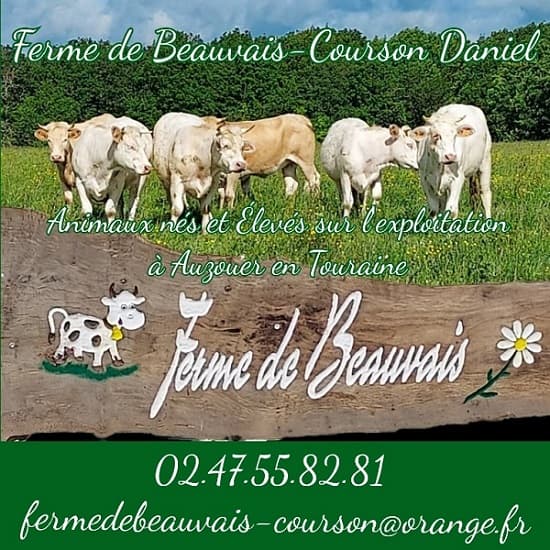 Image de présentation