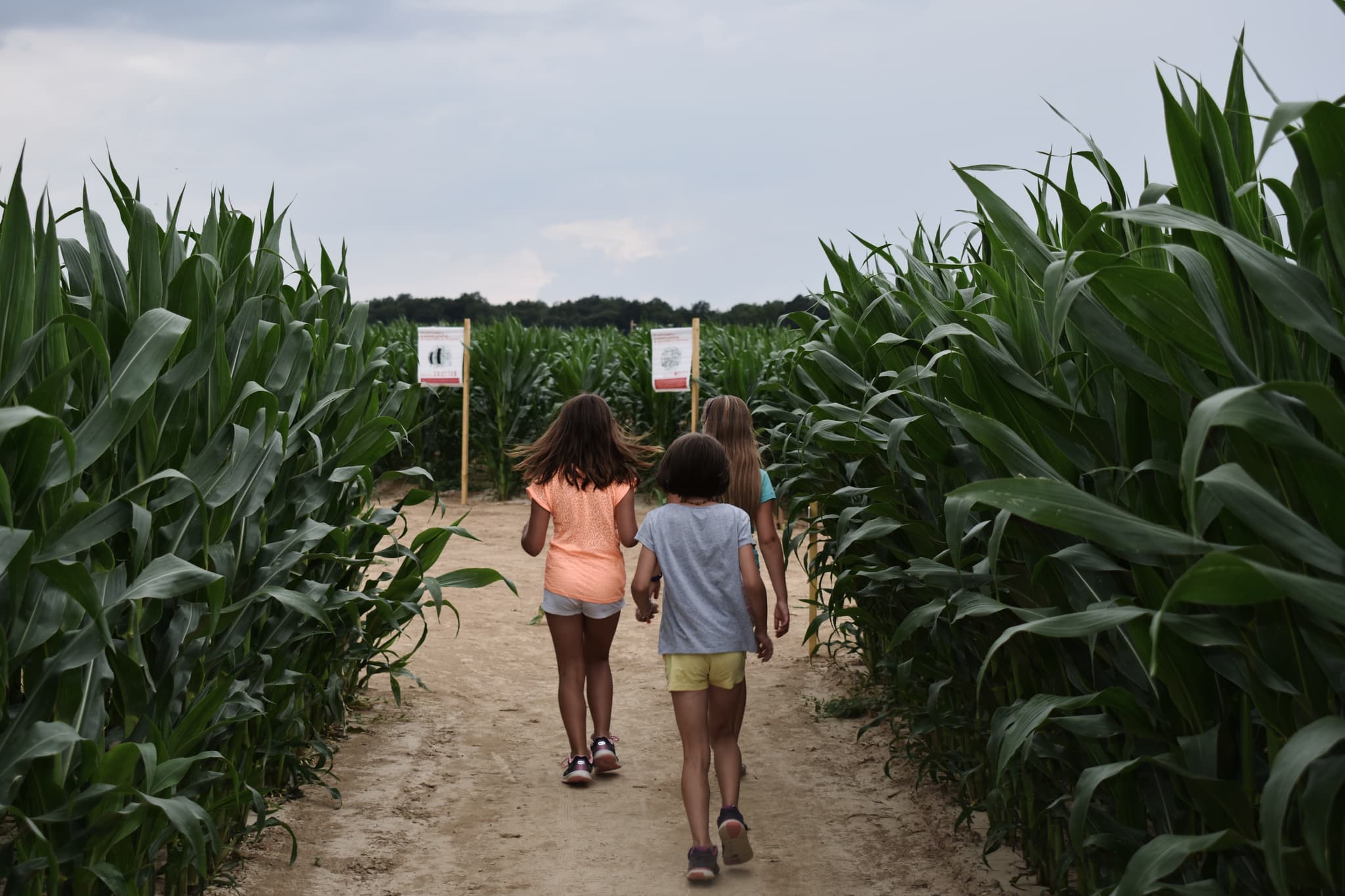 Inauguration 2018 Labyrinthe du Thimerais