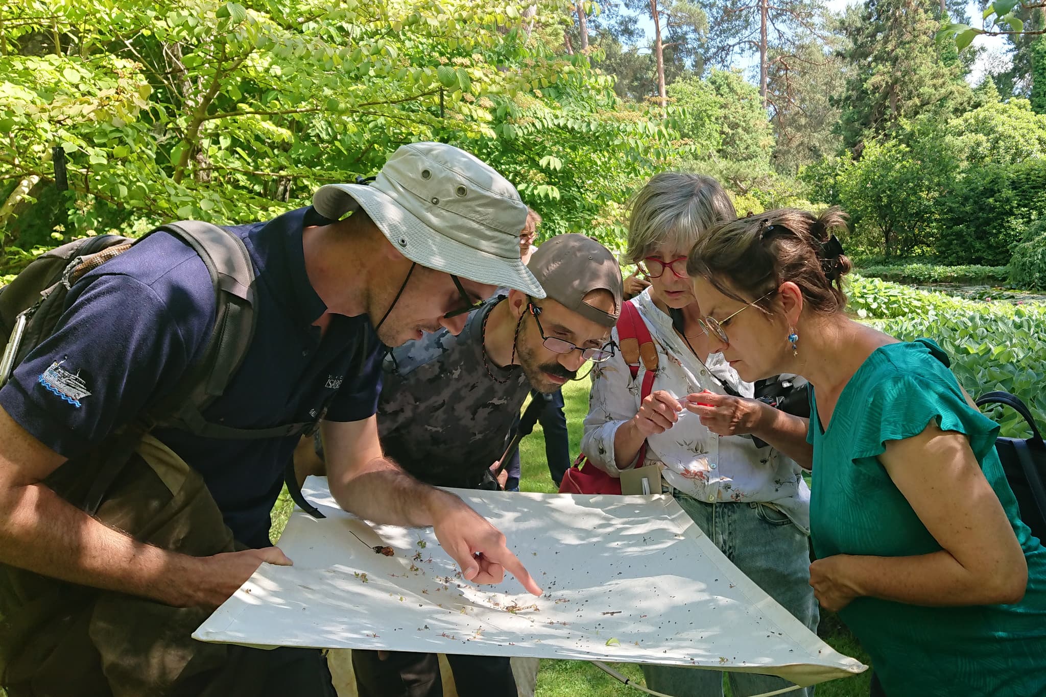 Initiation Insectes
