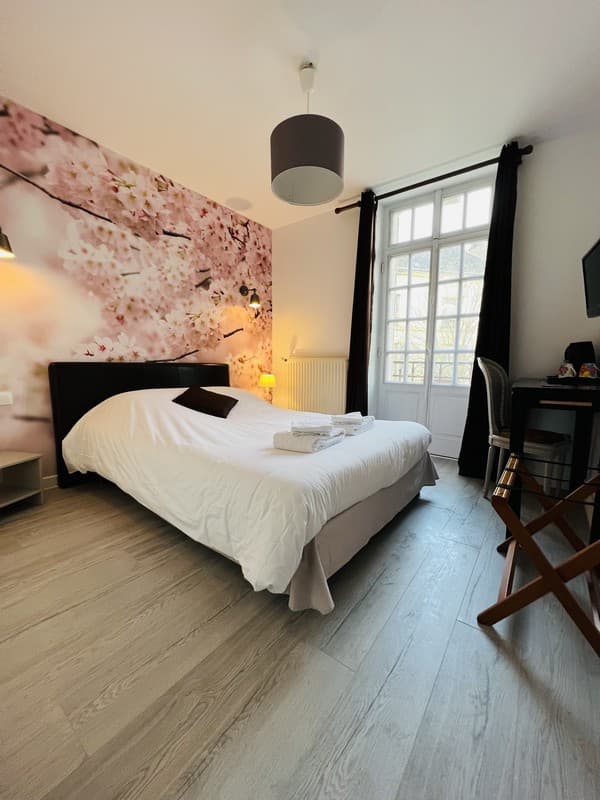 Chambre double à l'hôtel le cheval blanc à Jargeau