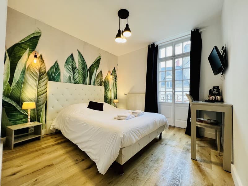 Chambre double à l'hôtel le cheval blanc à Jargeau
