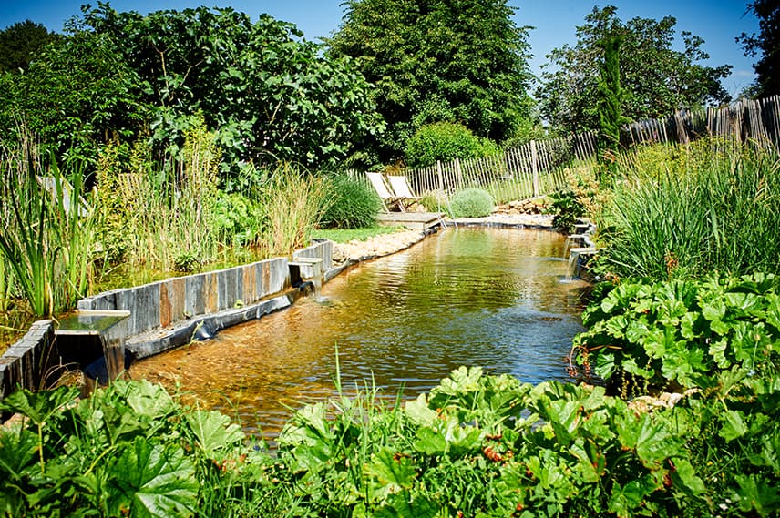Le jardin et la piscine - Domaine de la Juranvillerie - Ussé