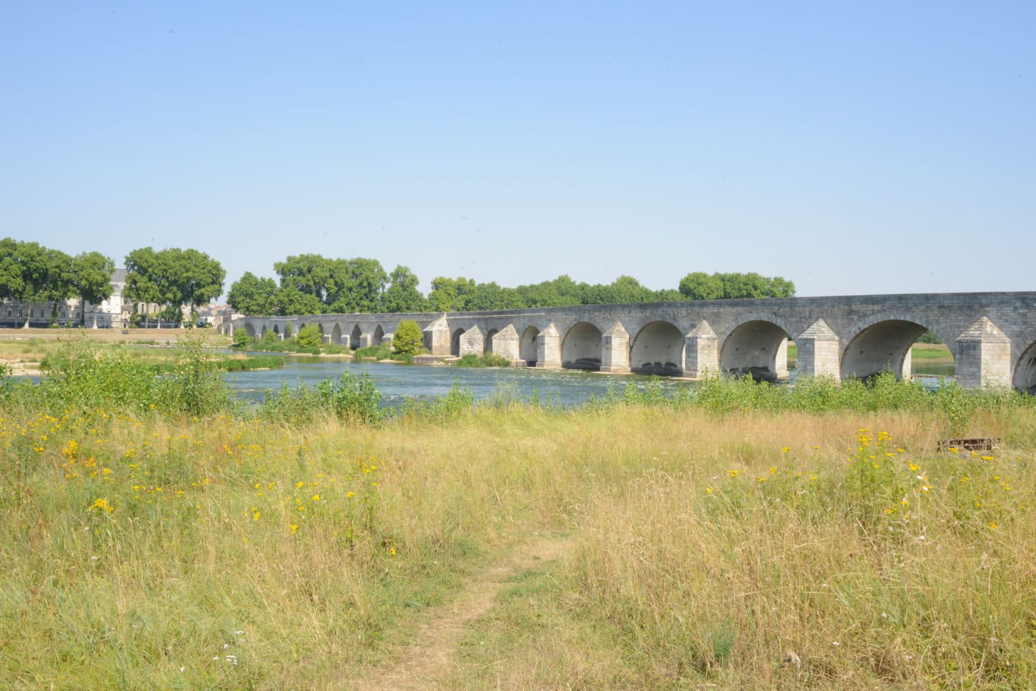 Les rives de Beaugency