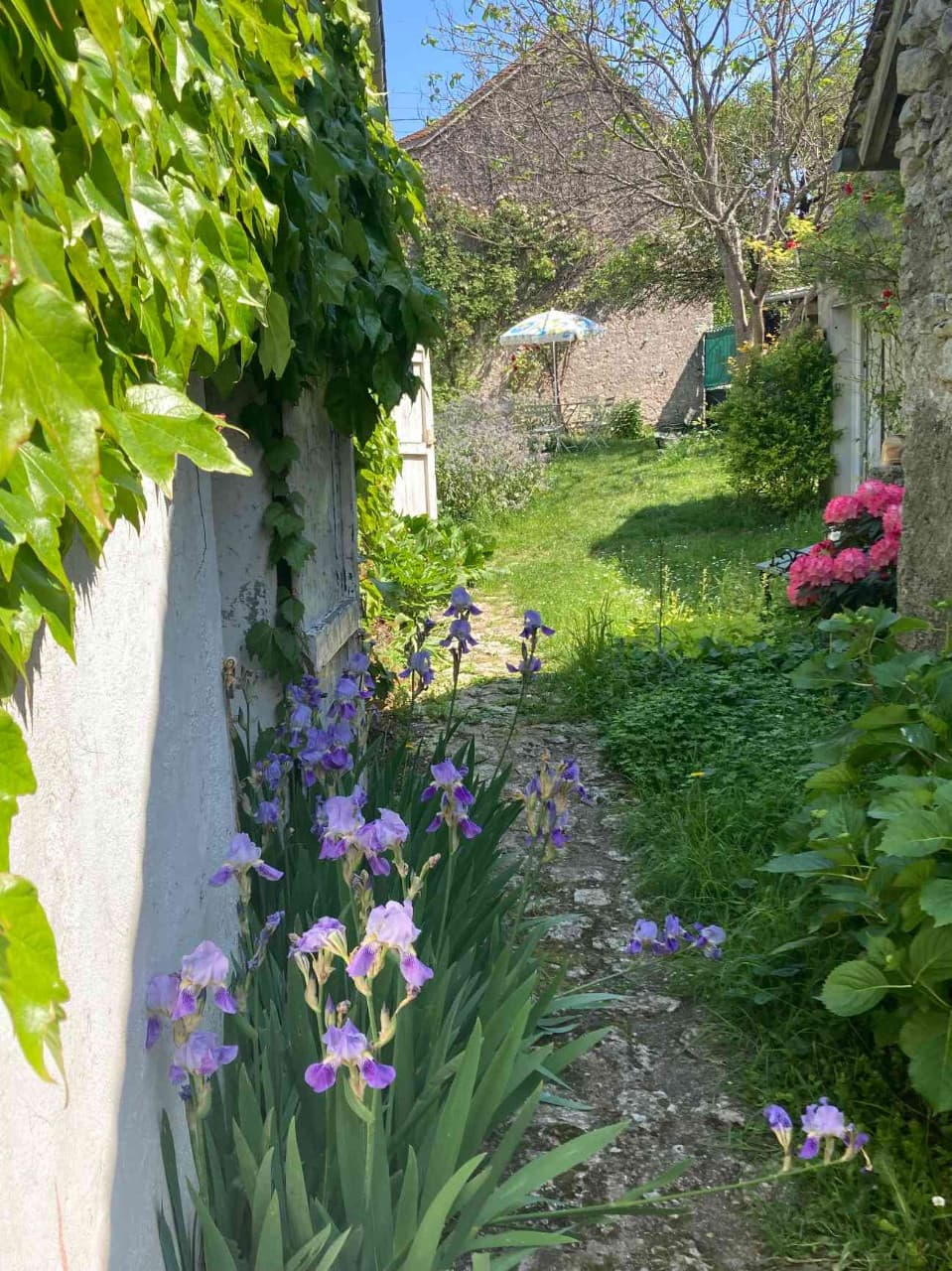 Jardin