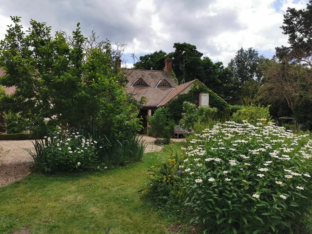 Jardin-2
