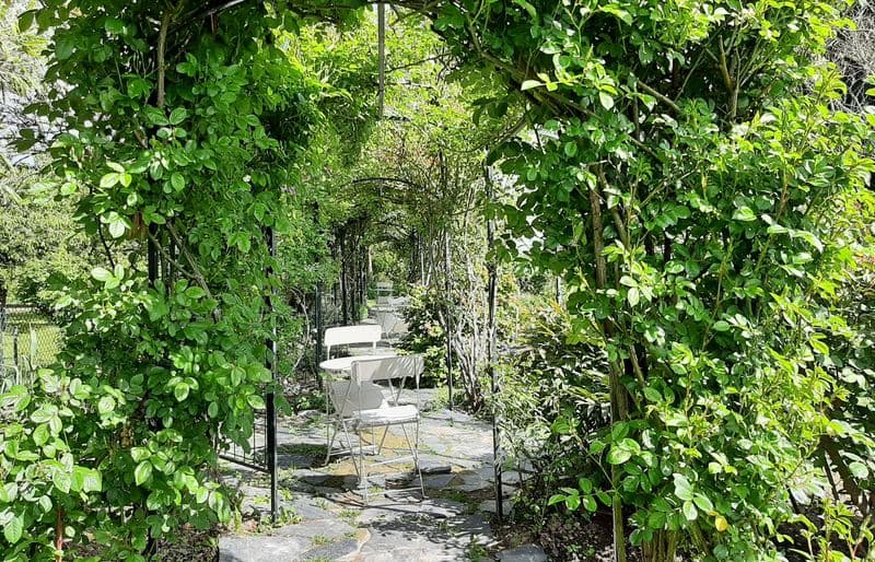 Jardin Morailles C.Cardon 800x600
