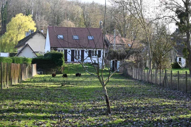 Jardin et terrasses