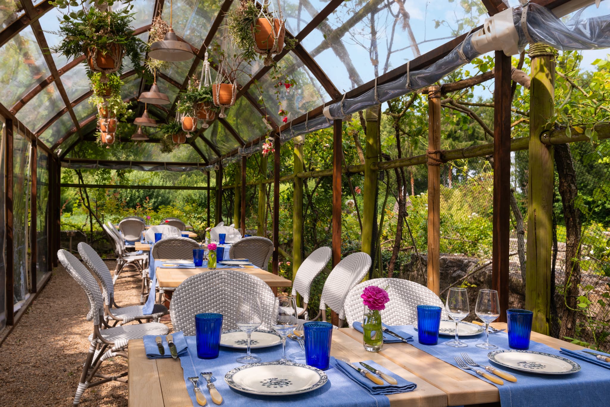 JardinSecret@David-Emmanuel COHEN_4