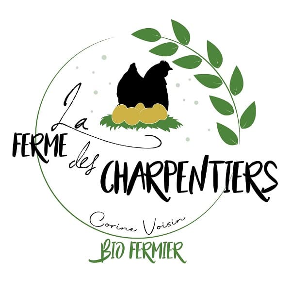 LOGO - Copie