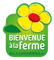 LOGO BF (1)