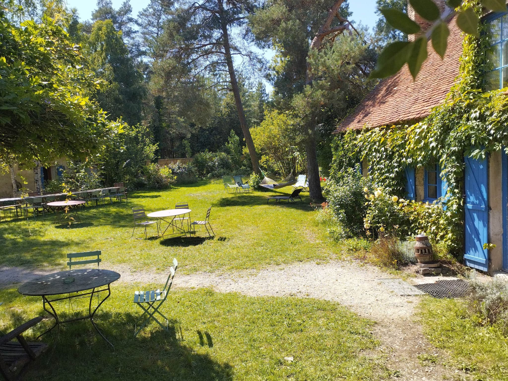 La cour