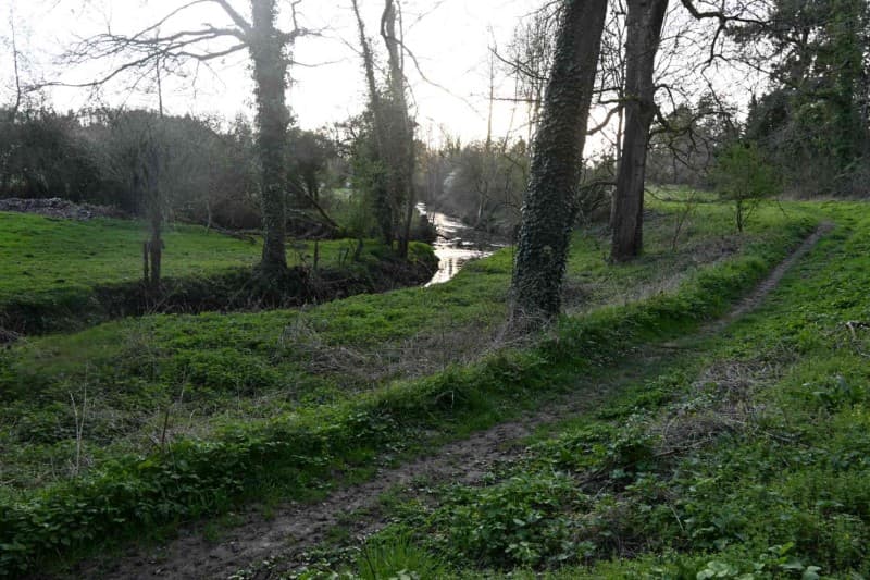 La randonnée à proximité