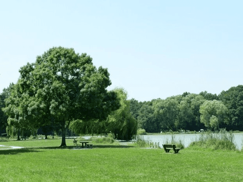 Etang communal