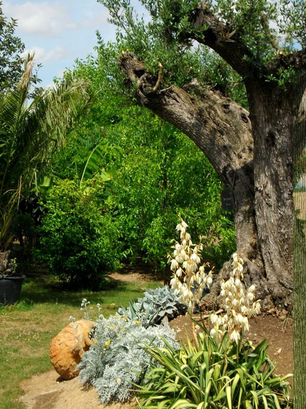 Le Jardin des 4 saisons