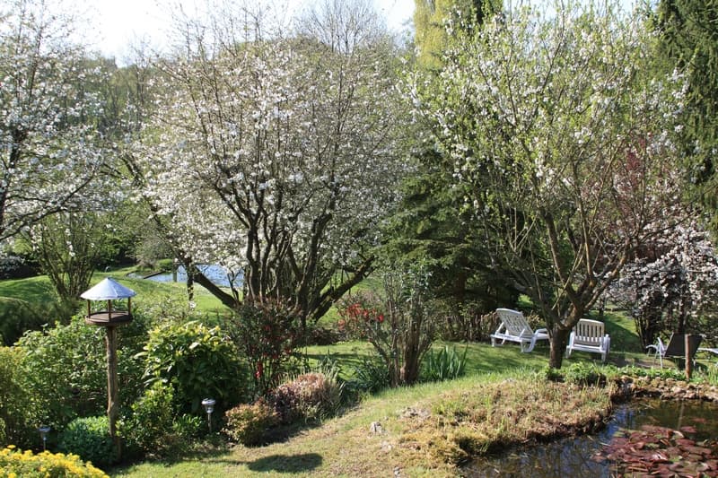 Le jardin au printemps