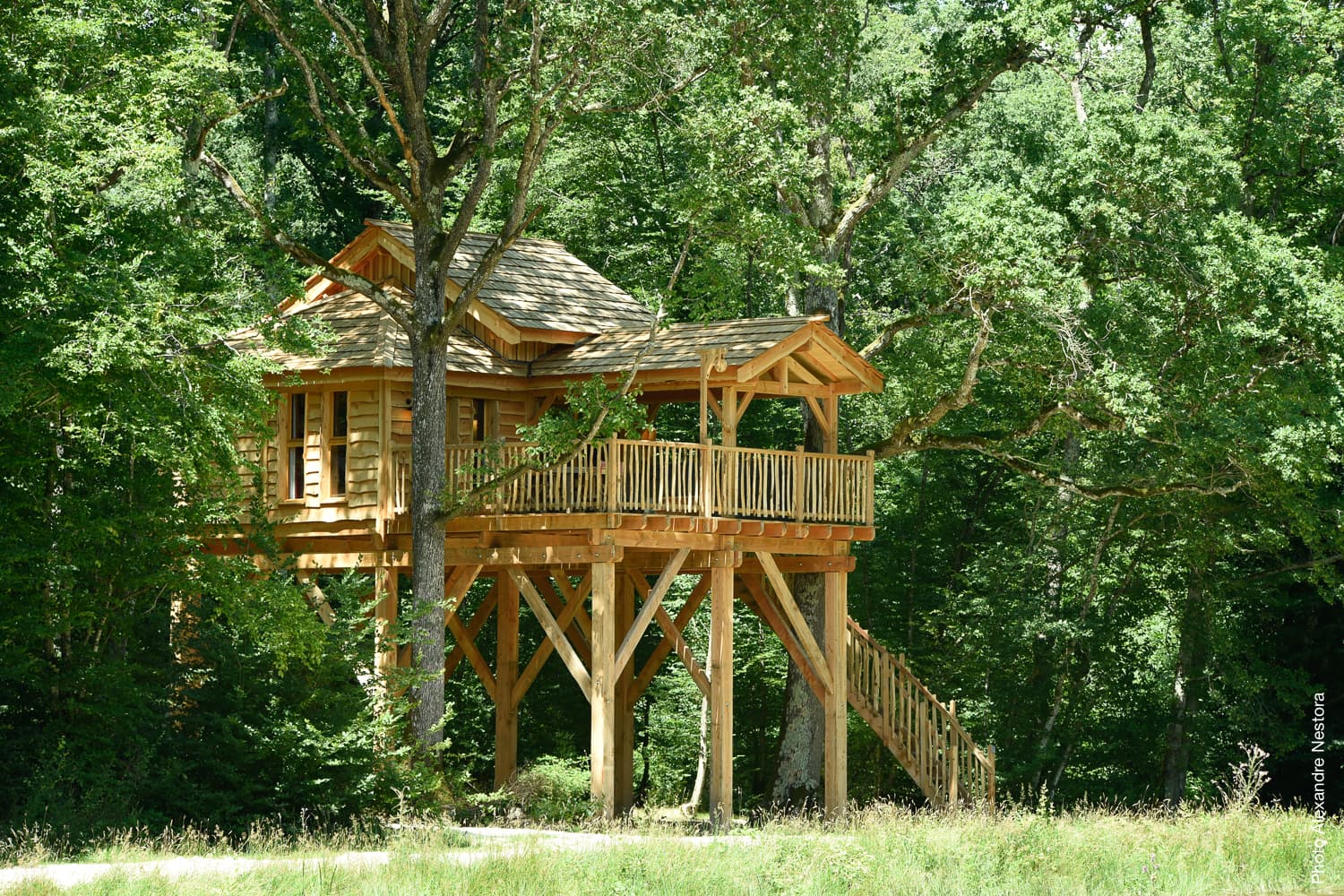 Les-Blots_Cabane_Arbres-4227