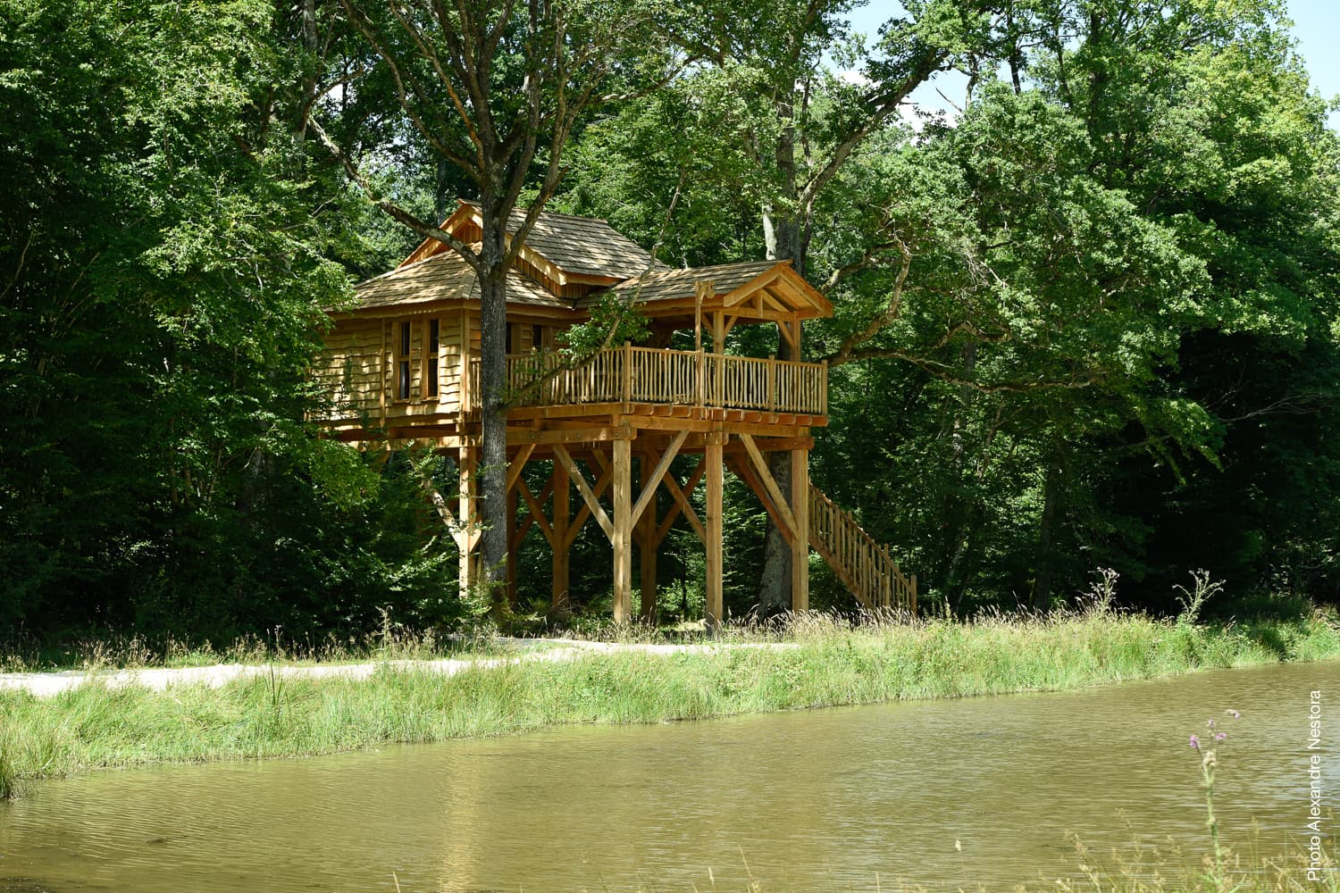 Les-Blots_Cabane_Arbres-4243