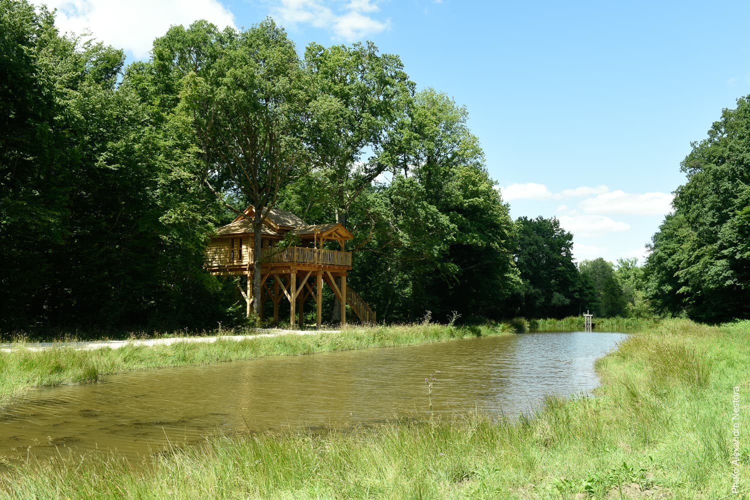 Les-Blots_Cabane_Arbres-4252