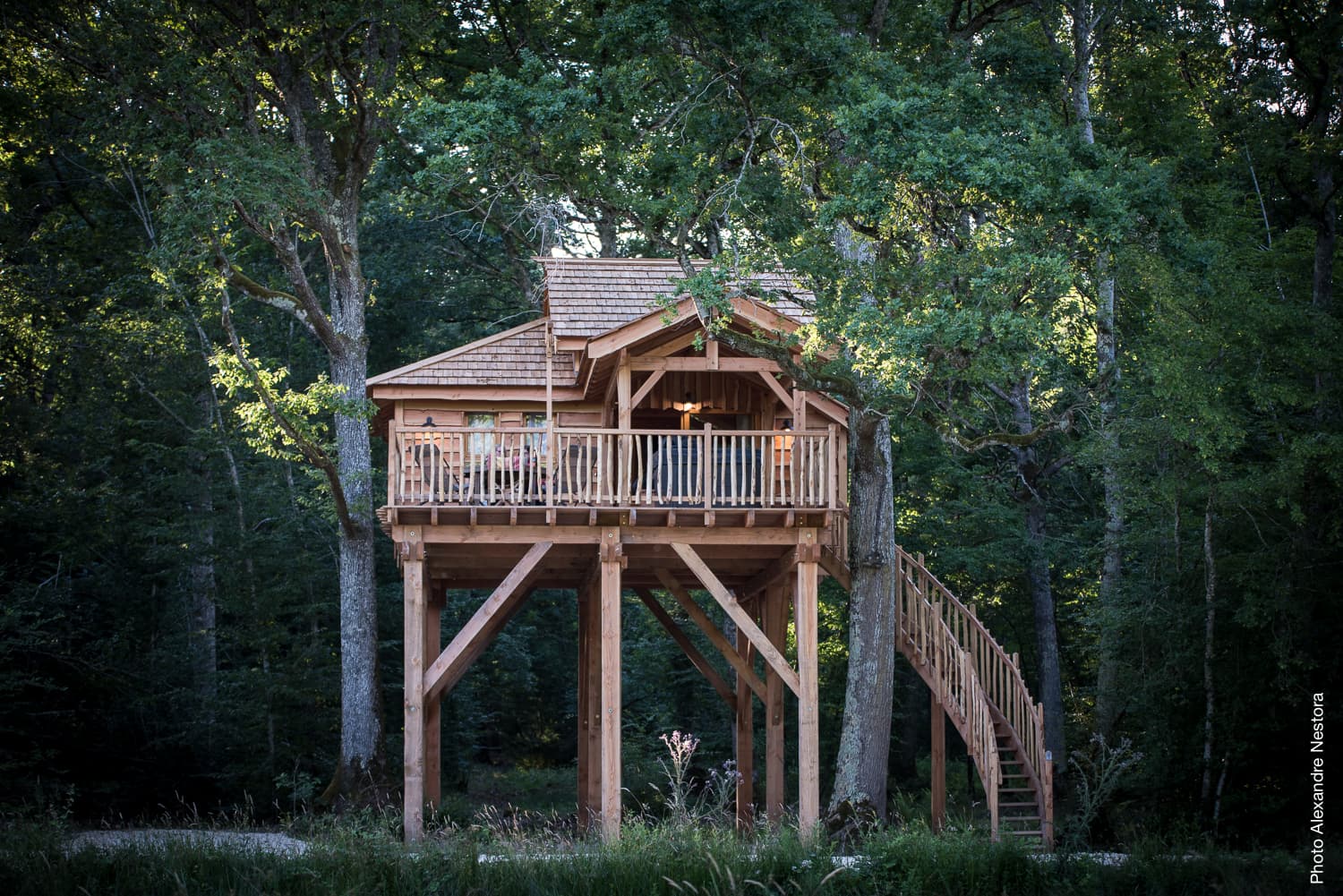 Les-Blots_Cabane_Arbres-4589