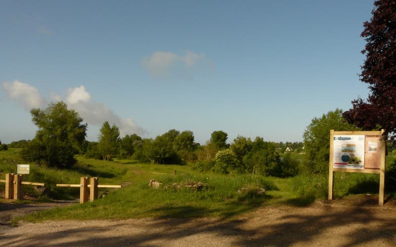 Les rives de Beaugency