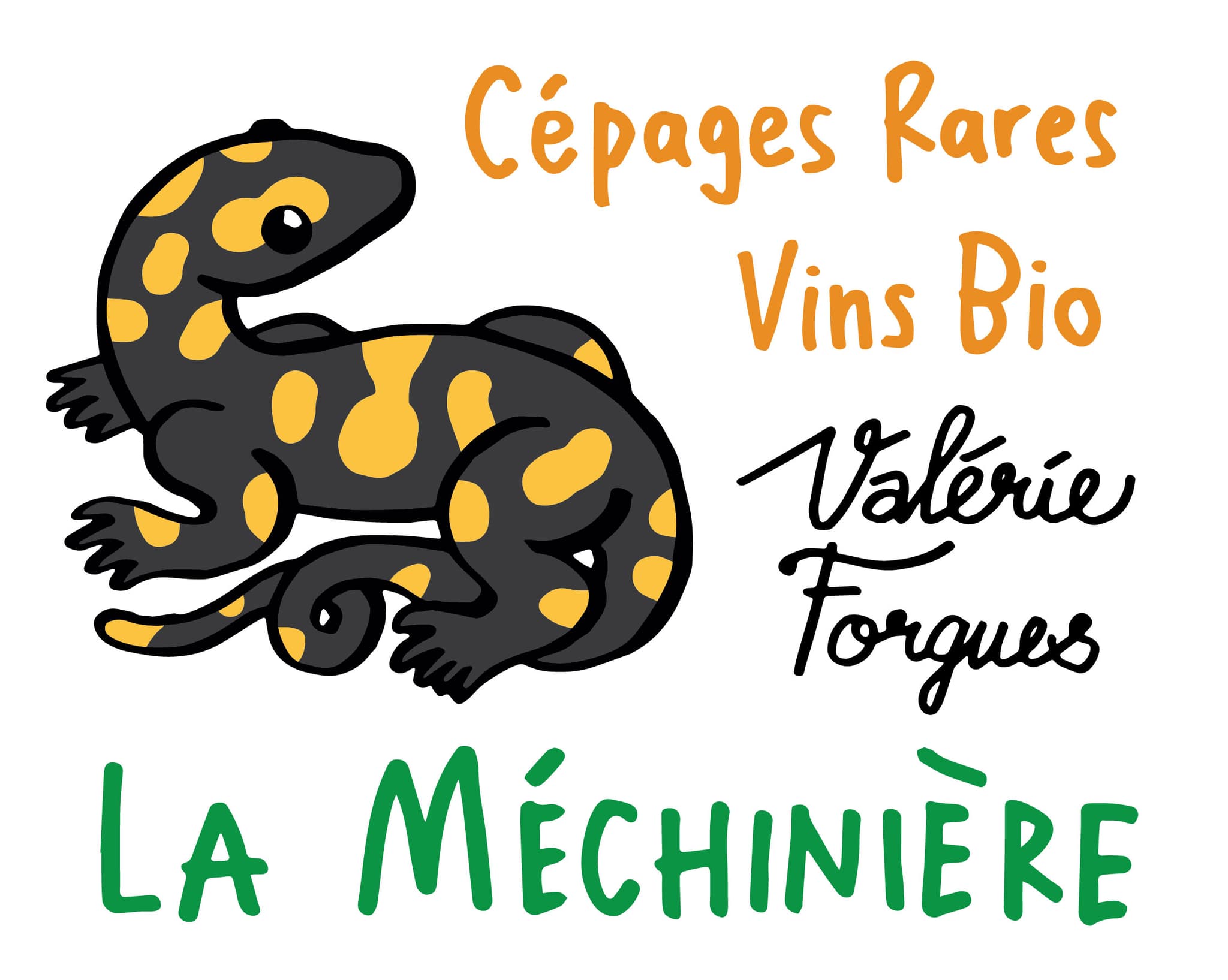 web-logo-VF
