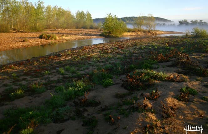 Loire Aventure Canoës