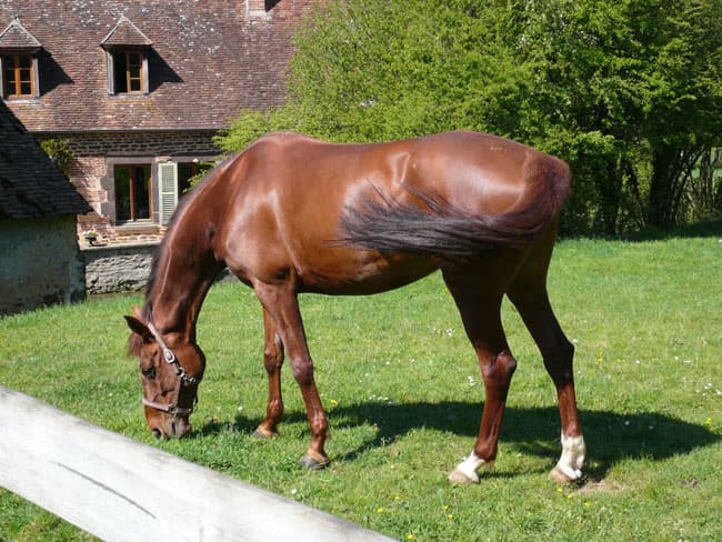 MOULINTIREPEINESUBLIGNY