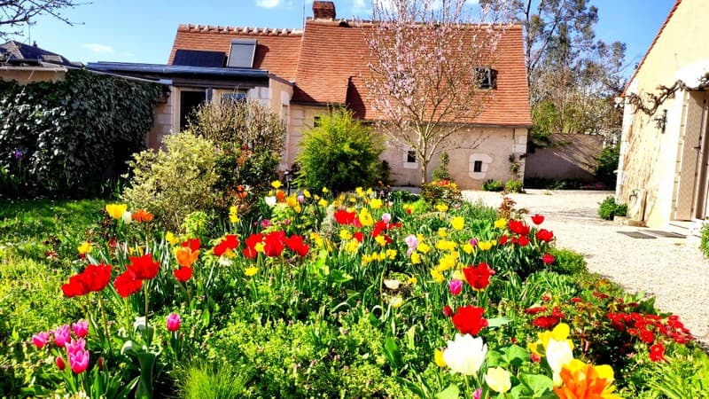 Maison au printemps