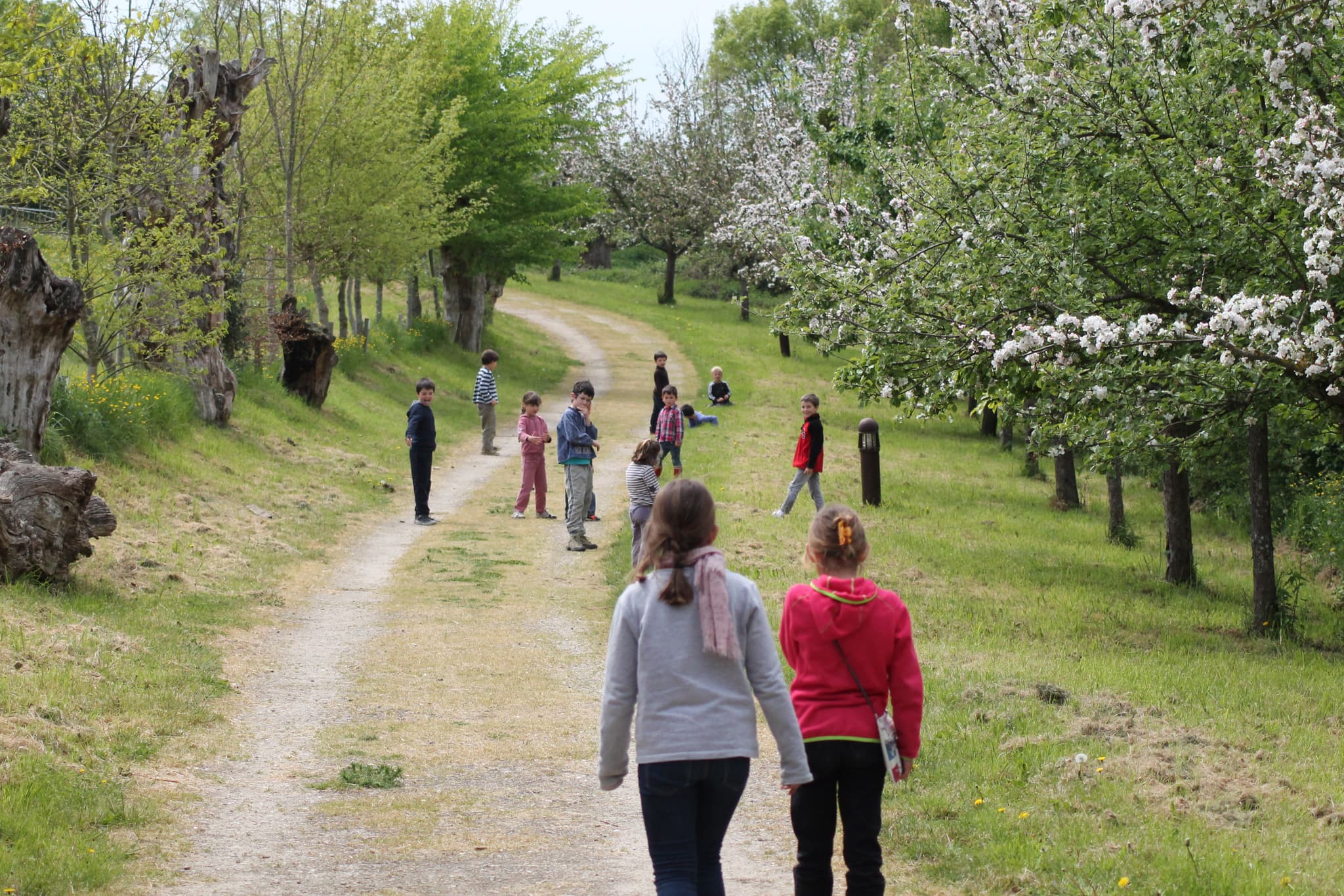 MaisonBotanique-Chemin-des-Trognes