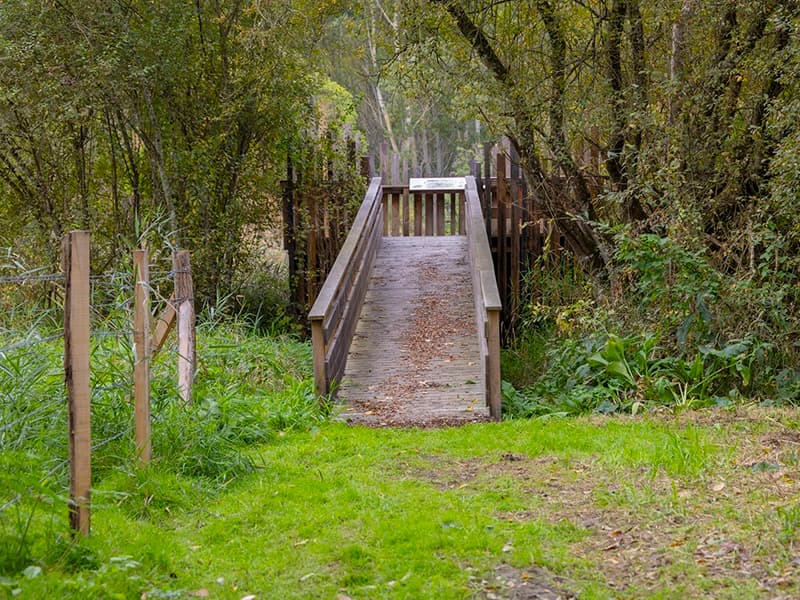 Marais de Taligny