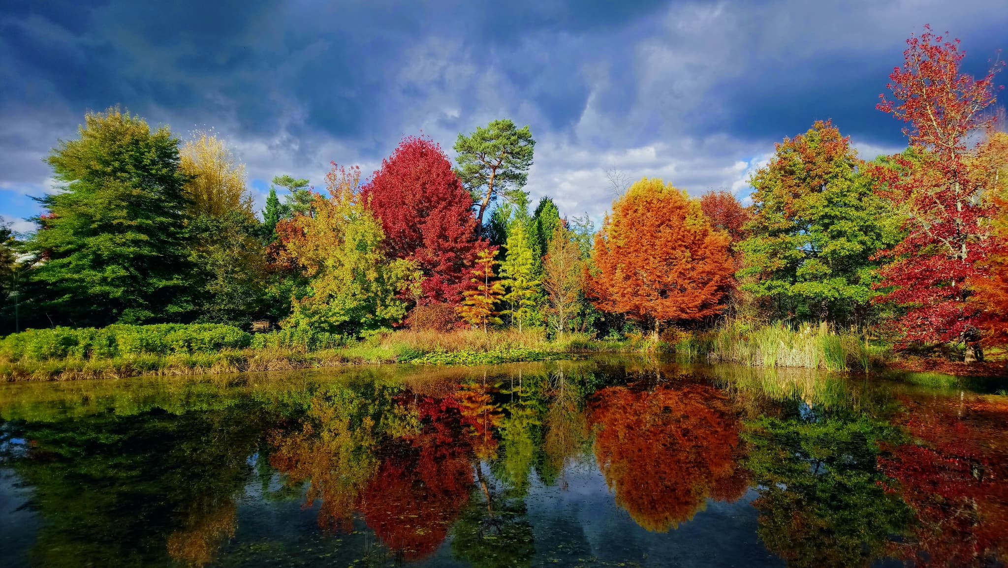 Etang américain