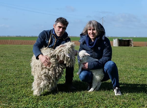 Mohair Sophie Estouy (1)