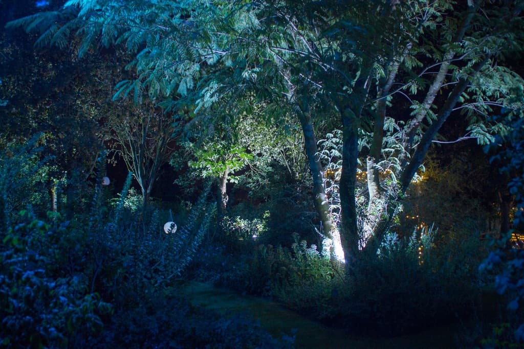 Morailles2_Illuminations