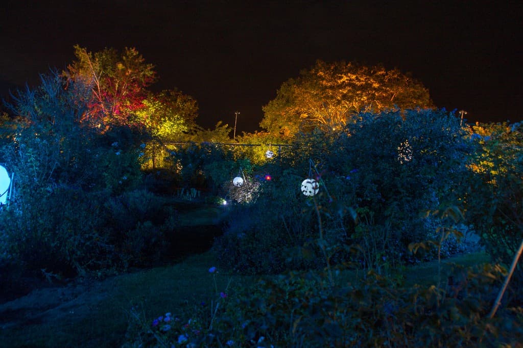 Morailles3_Illuminations