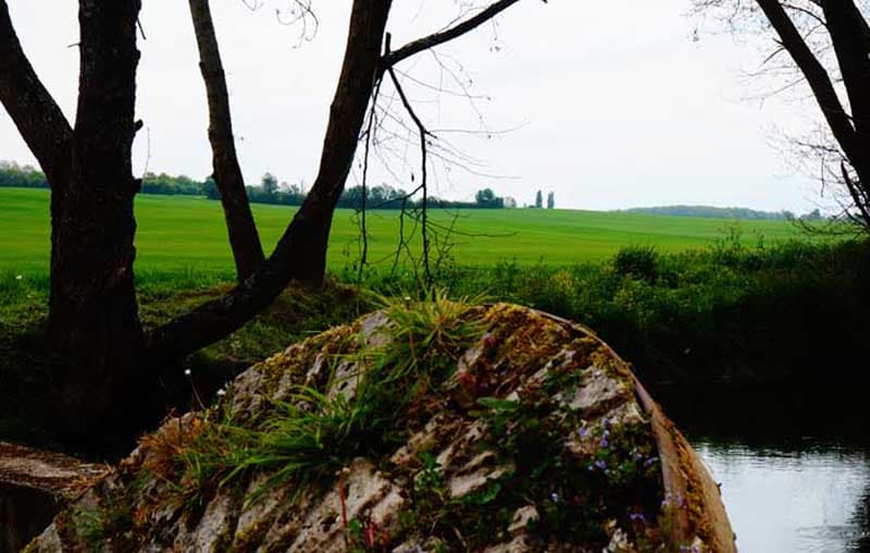 Pêche au Moulin d'Angibault