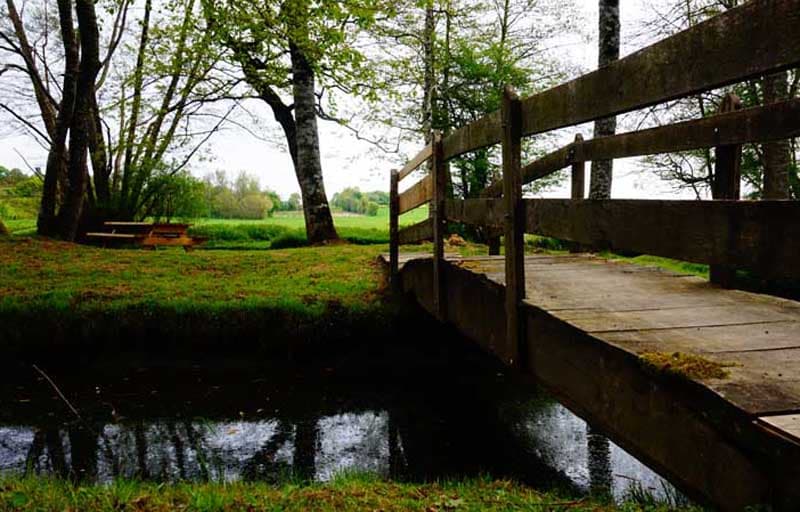 Pêche au Moulin d'Angibault