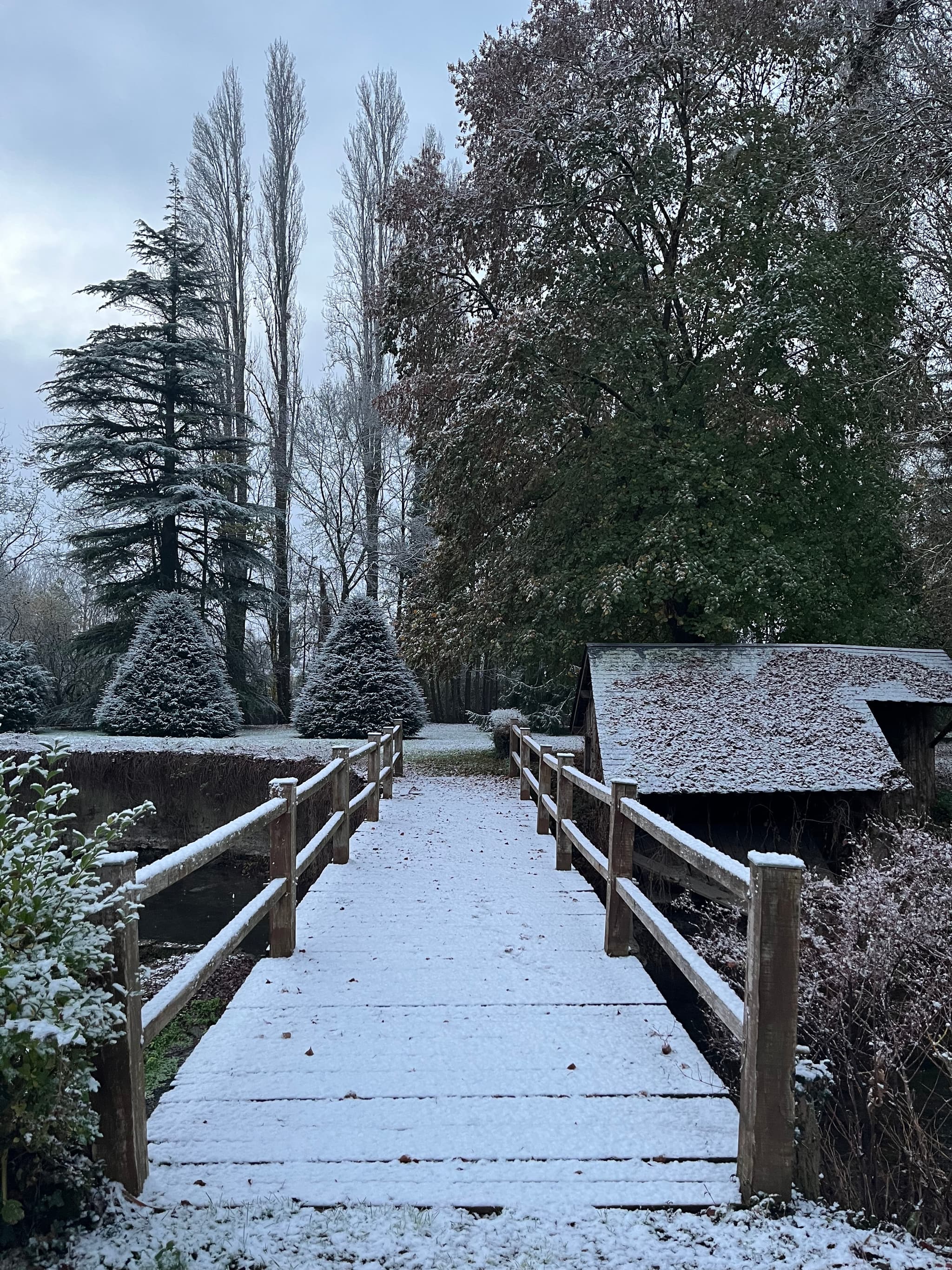 NEIGE SUR LE PONT