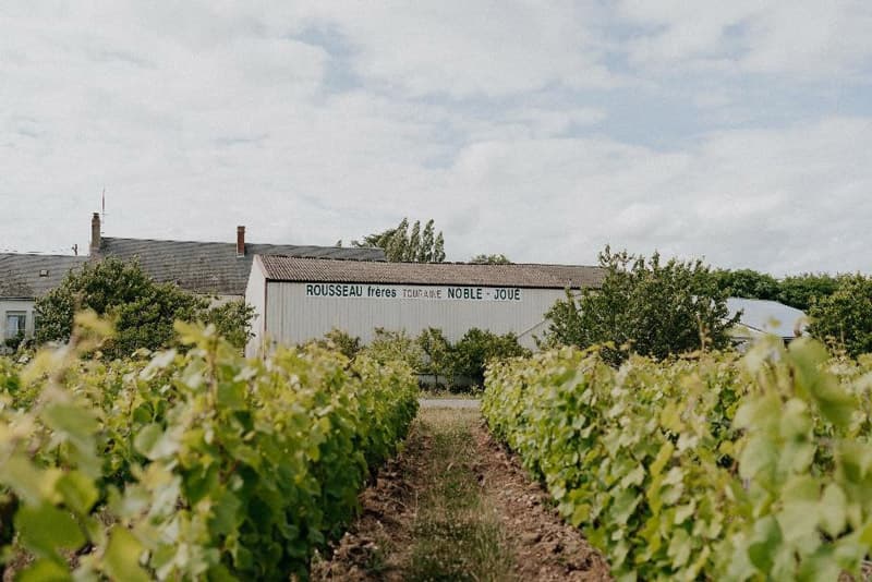 Maison Rousseau - Rousseau frères, cave à Esvres-sur-Indre.