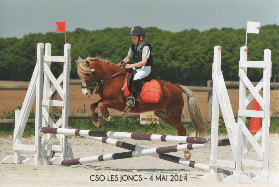 CSO
