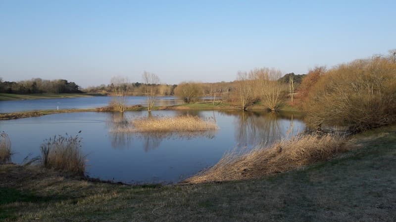 Site de Courpain à Ouvrouer-les-Champs