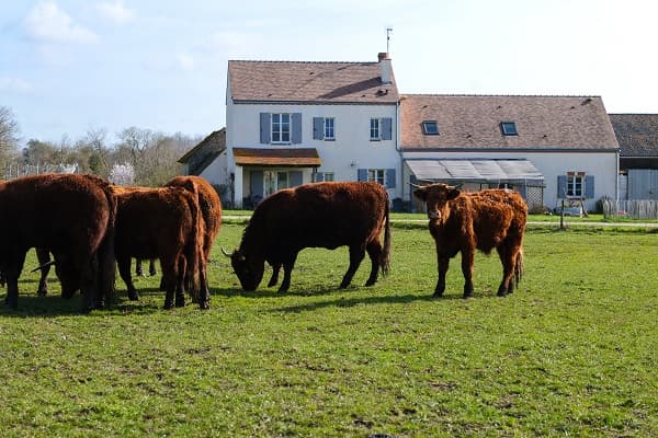 Ferme du Hallier