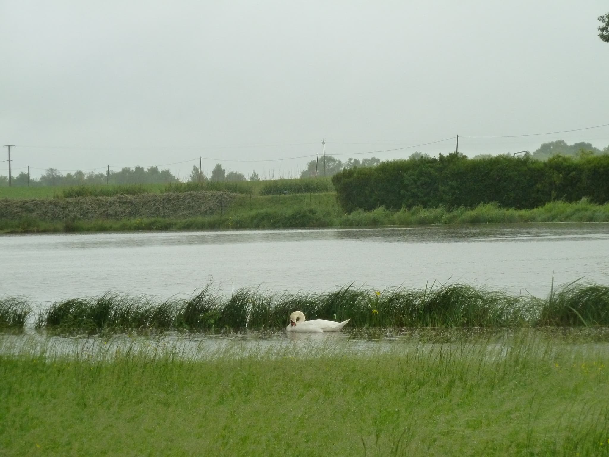 Adon - Etang communal