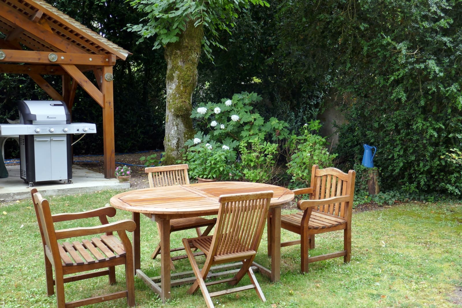 Adon : Domaine d'Adon : Coin BBQ