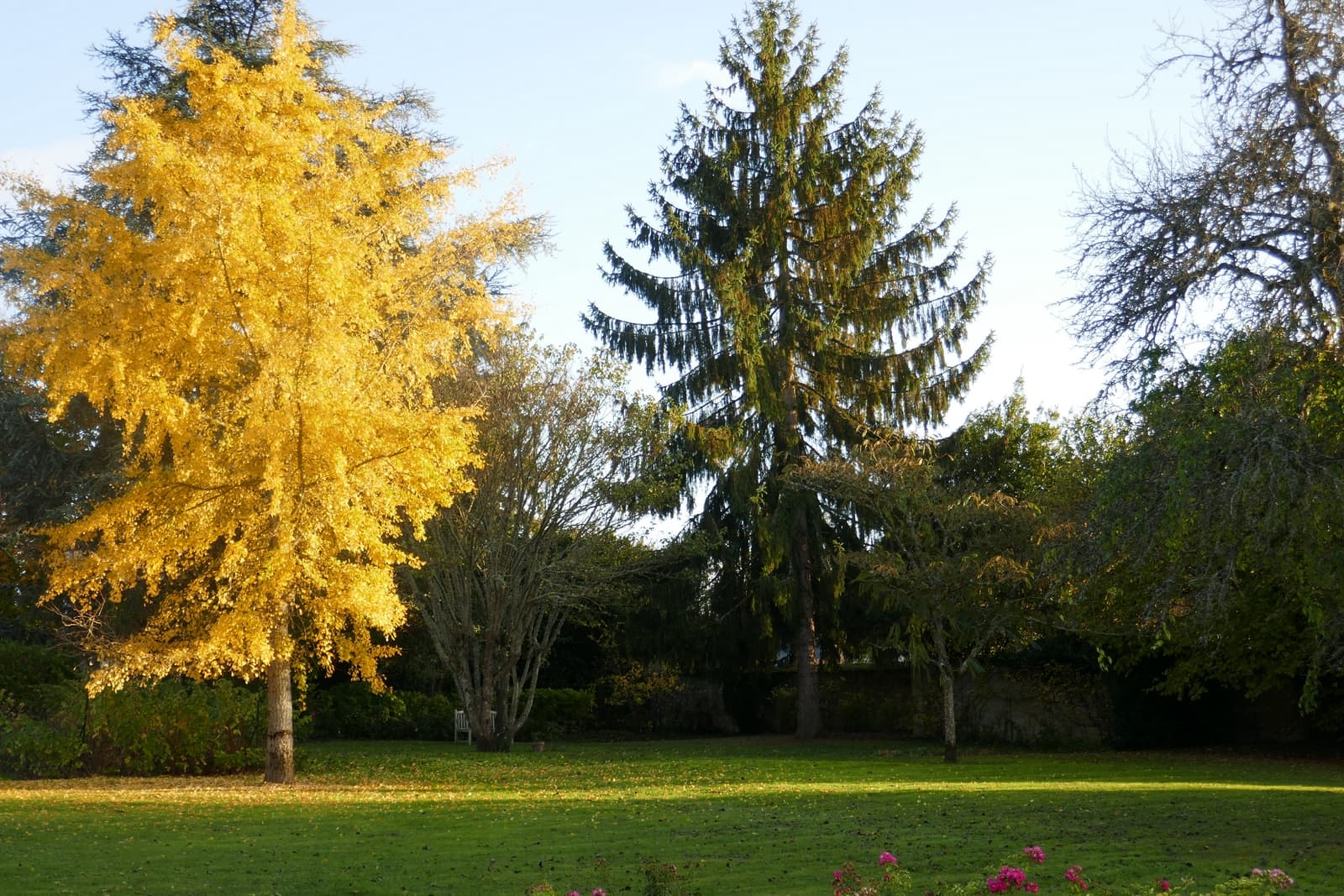Adon : Domaine d'Adon : Parc