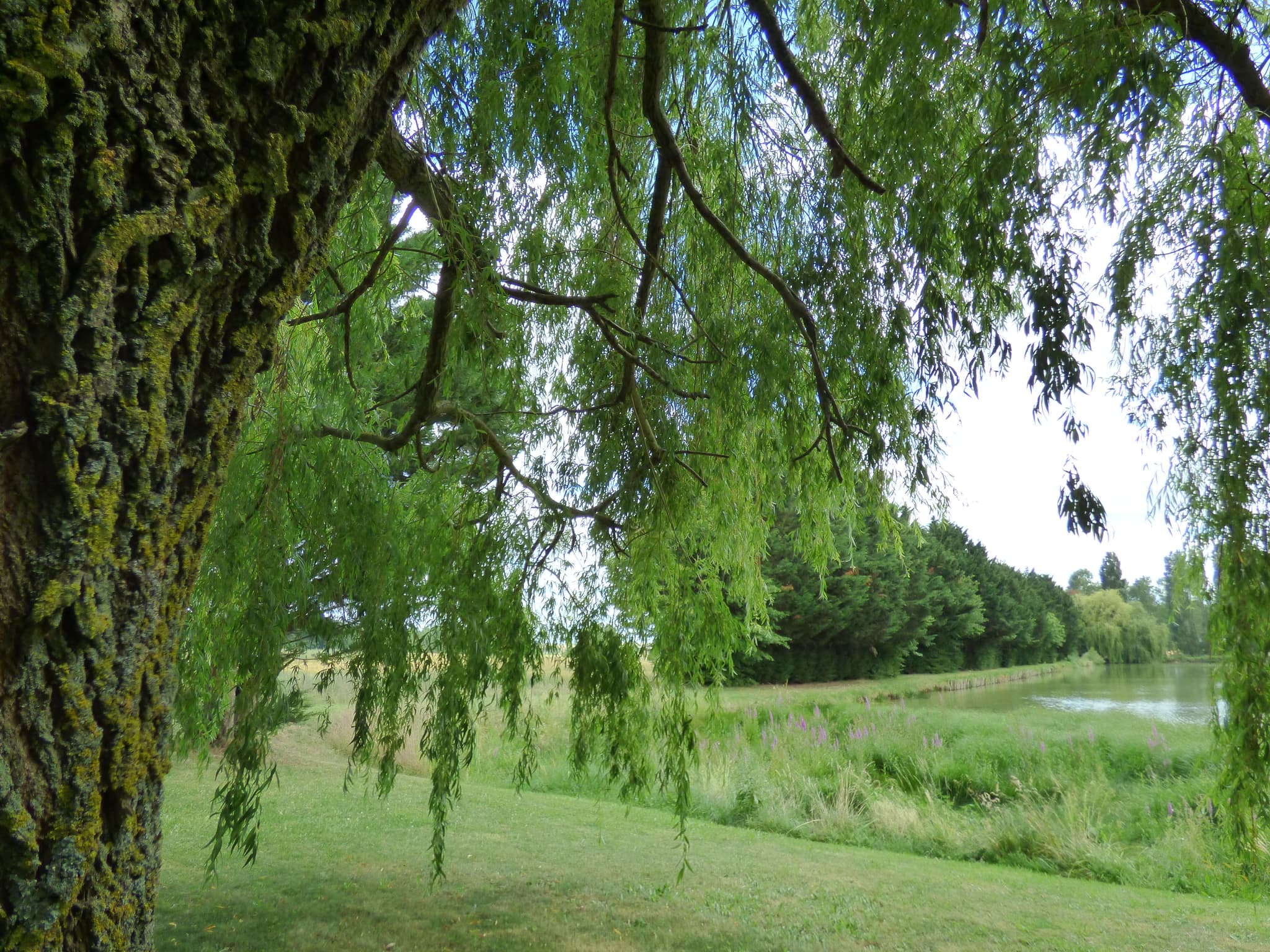 P1040747