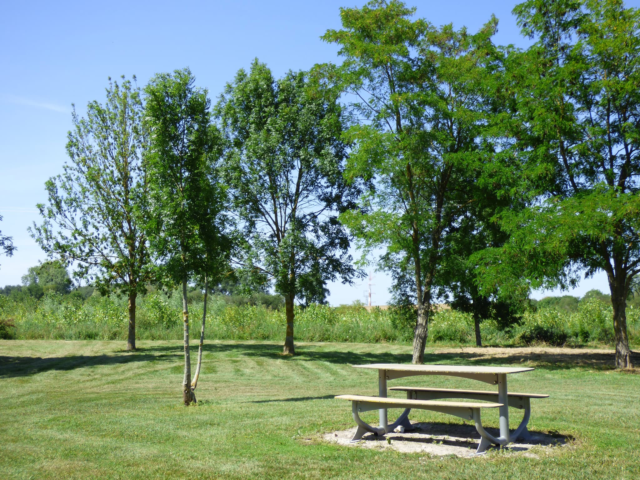 P1050091